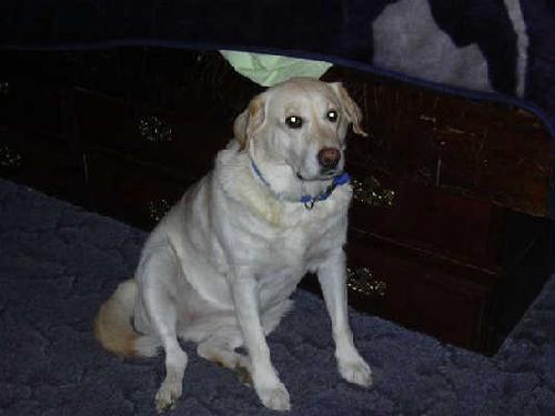 Morgann - ADOPTED 12.12.09