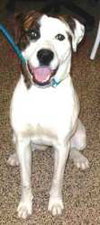 Kenzie - ADOPTED 12.17.09