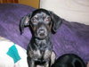 Romper-ADOPTED