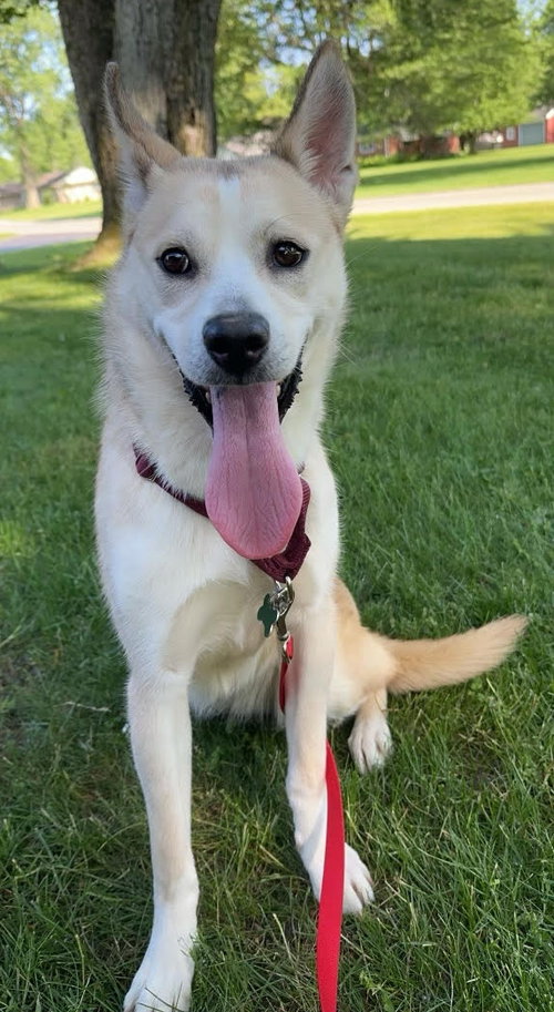 Bones - ADOPTED 06.25.24