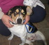 Frankie-ADOPTED 04.12.13