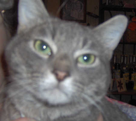 Bo-ADOPTED 02.28.10