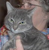 Bo-ADOPTED 02.28.10