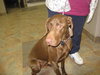 Miss Bella-PENDING