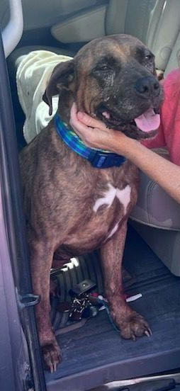 Hudson (Hospice) - ADOPTED 02.20.25