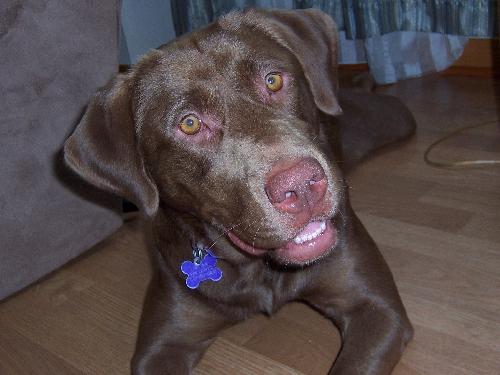 Peyton-ADOPTED 7.5.10
