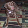 Peyton-ADOPTED 7.5.10