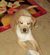 Marty - ADOPTED 01.01.10