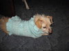 Phyllis Diller - ADOPTED