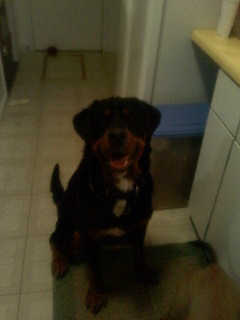 Stout-ADOPTED 1/29/10