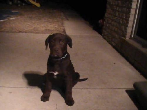 Montana baby-ADOPTED