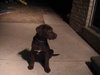 Montana baby-ADOPTED