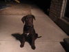 Montana baby-ADOPTED