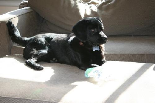 Spudley-ADOPTED