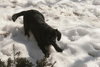 Spudley-ADOPTED