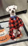 Yuki