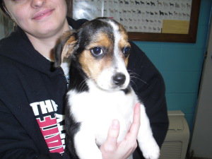 Flynn-ADOPTED 3/13/10