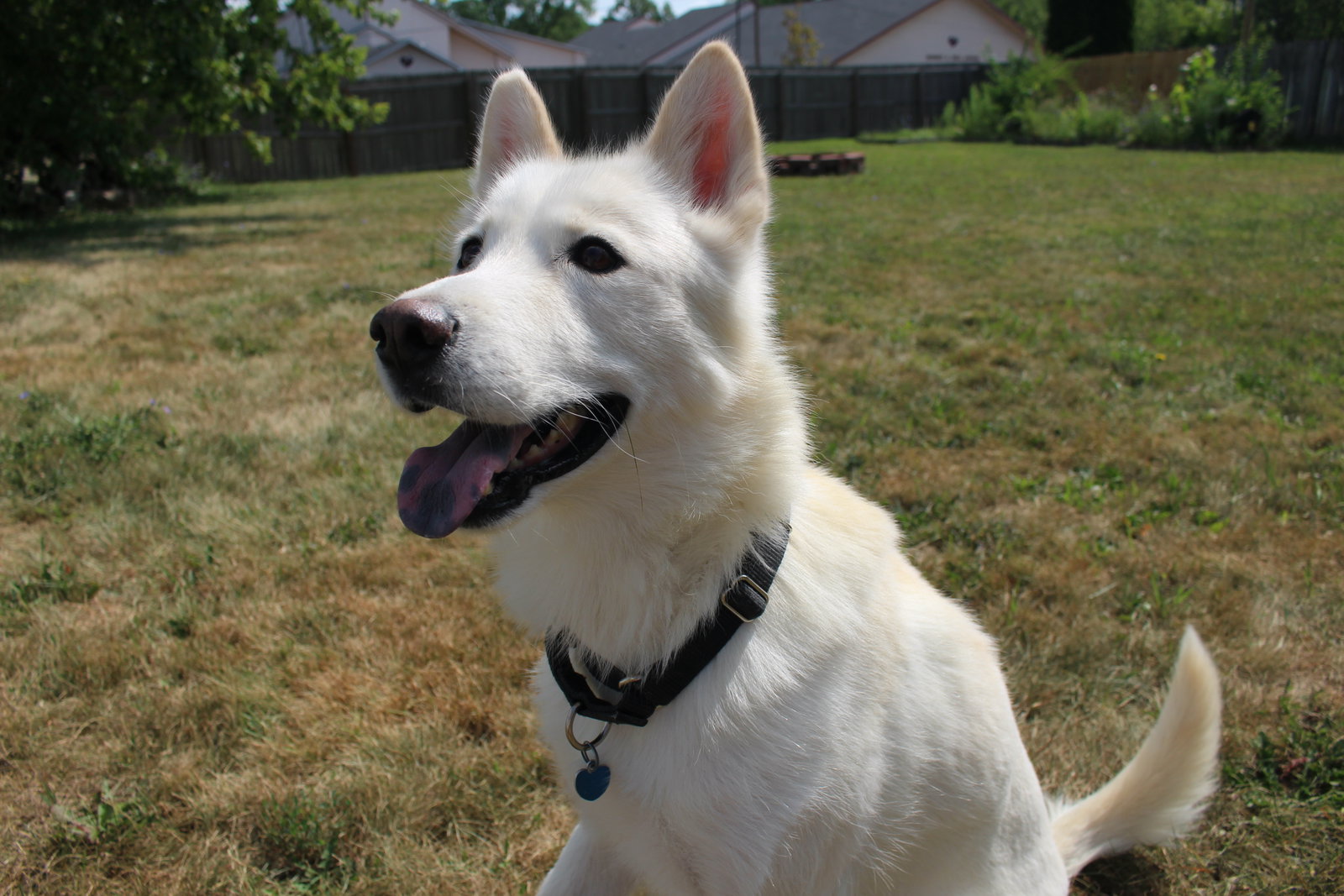 Triscuit, photo 2