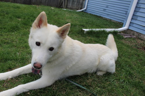 Photo 5 of Triscuit