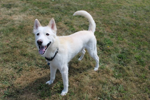 Photo 6 of Triscuit