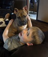 Fv Litter Lennox