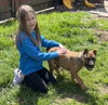 Fv Litter Lennox