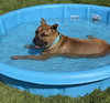 Fv Litter Lennox