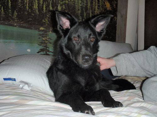 Toby - ADOPTED 04.30.10