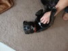 Donovan-ADOPTED