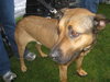 Hogan-ADOPTED 5/1/10