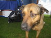 Hogan-ADOPTED 5/1/10
