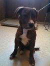 Hickory - ADOPTED 03.21.10