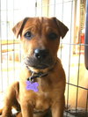 Blythe-adopted 4/24/10