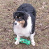 Riley