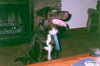 Brady - ADOPTED 04.13.10