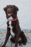 Brady - ADOPTED 04.13.10