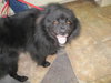 Spiro - ADOPTED 07.10.10