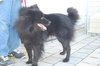 Spiro - ADOPTED 07.10.10