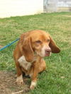Marie-adopted 5/1/10