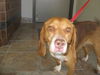 Marie-adopted 5/1/10