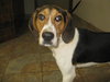 Kinsey - ADOPTED 06.28.10
