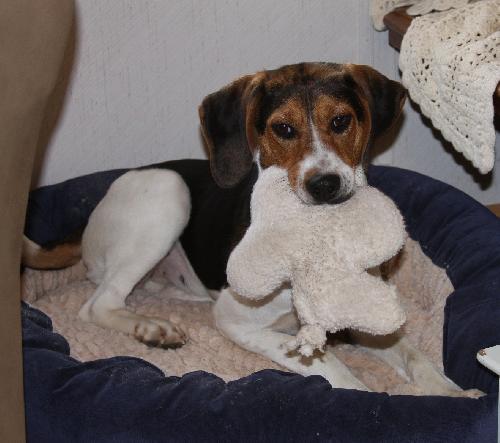 Kinsey - ADOPTED 06.28.10