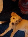 Timmy-ADOPTED 5/9/10