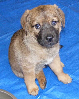 Tubby-ADOPTED 5/9/10