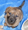 Tubby-ADOPTED 5/9/10