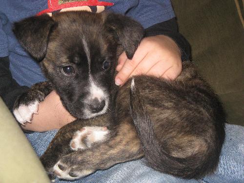 Ash-adopted 4/28/10