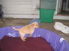 Fiona - ADOPTED 05.14.10