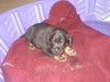 Murphy Baby - ADOPTED 05.13.10