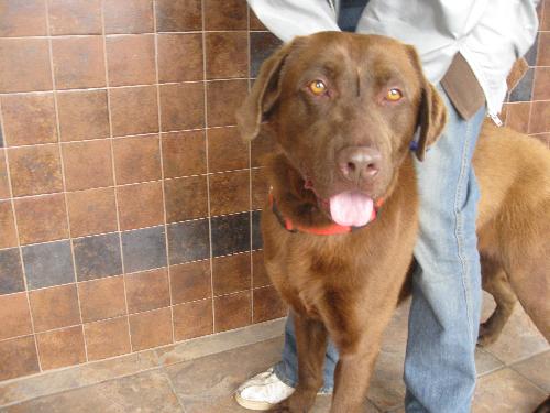 Simon-ADOPTED 5.6.10