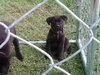 Micro - ADOPTED 05.09.10